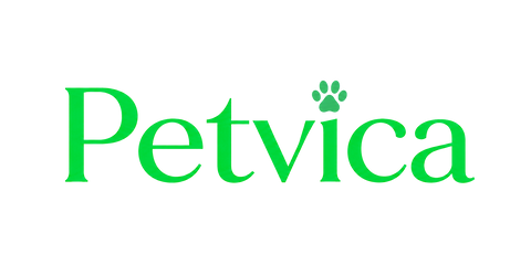 Petvica